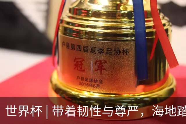 世界杯 | 带着韧性与尊严，海地踏上归途