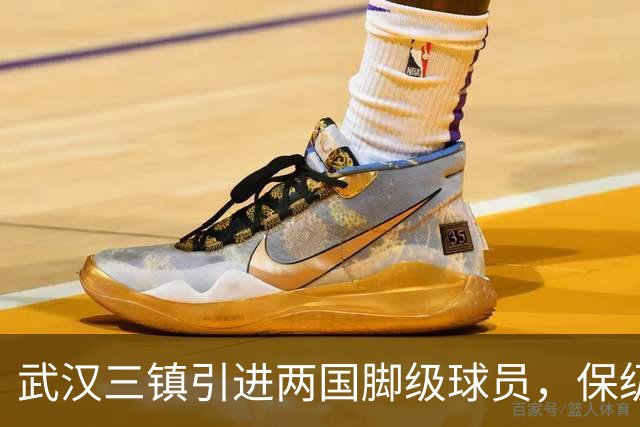 武汉三镇引进两国脚级球员，保级前景乐观